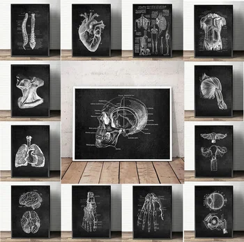 Anatomia Arte Bianco e Nero Pittura su tela medica Organo floreale Cardio Polmone Stampa di poster Educazione Ospedale Decorazioni per la casa