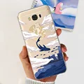 Case-800