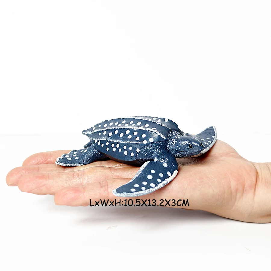 Realistic Sea Turtle Growth Cycle Educational Toy and Cake Topper Gift