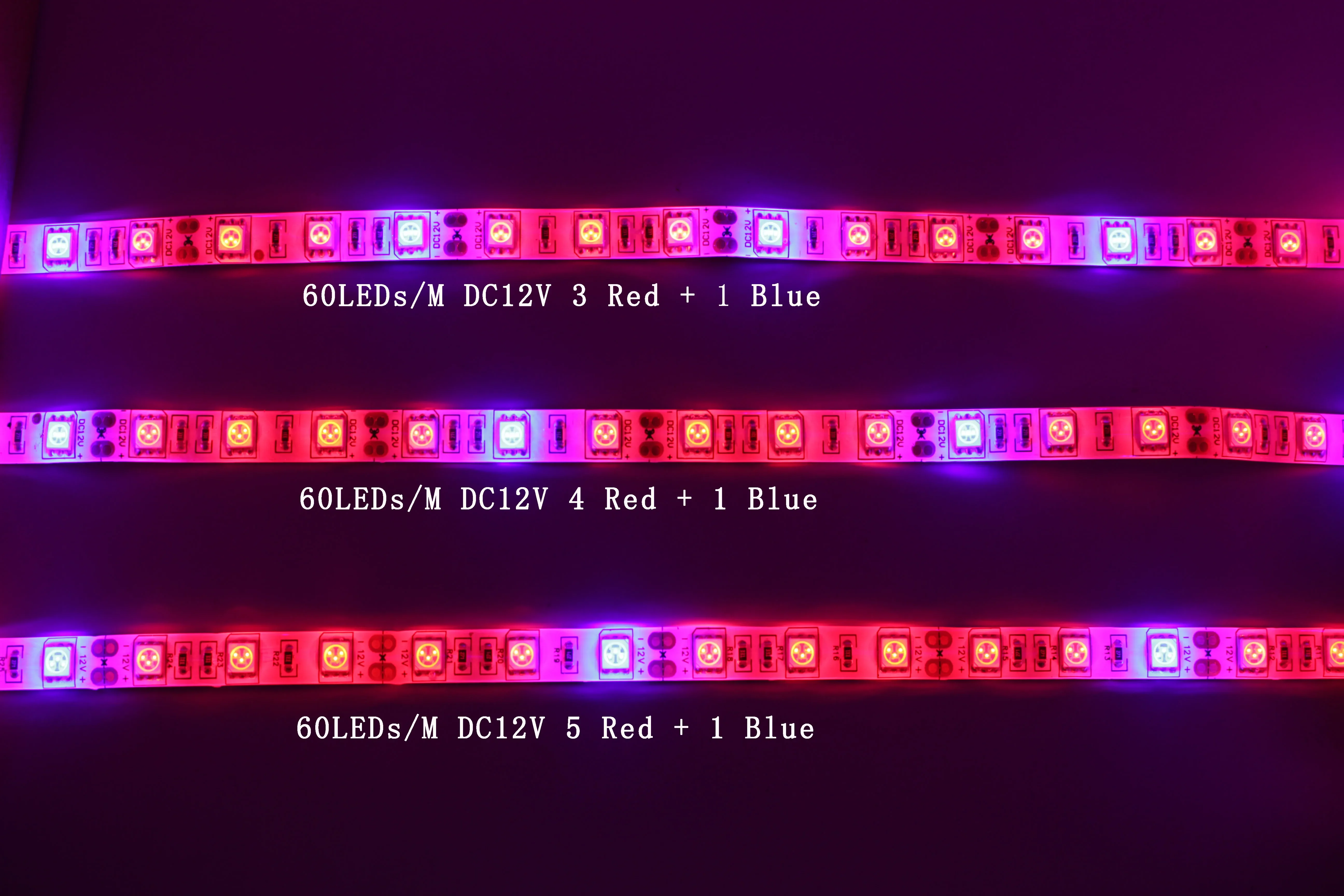 5 M LED Phyto Lamps Full Spectrum LED Strip Light 300 LEDs 5050 Chip Fitolampy Grow Lights For Greenhouse Hydroponic plant