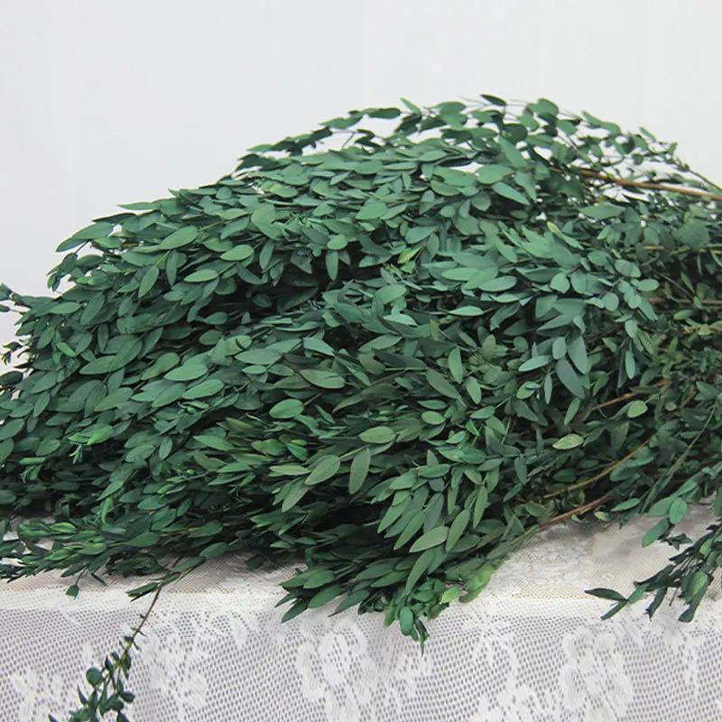Real Natural Plant Eucalyptus Dried Green Leaves Home Decoration Christmas Outdoor Wedding Party Flower Arrangement DIY Resin