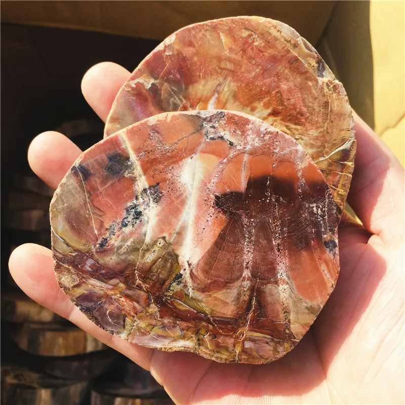 Natürlicher Seltener Holzfossil-Kristallschliff, Steinuntersetzer, Heilkristallstein für Reiki-Heimdekoration, Lehrer-Armorierung – Detail 1