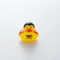Image 21