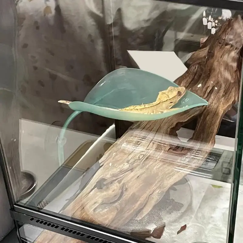 Frog & Reptile Leaf Basking Platform 3