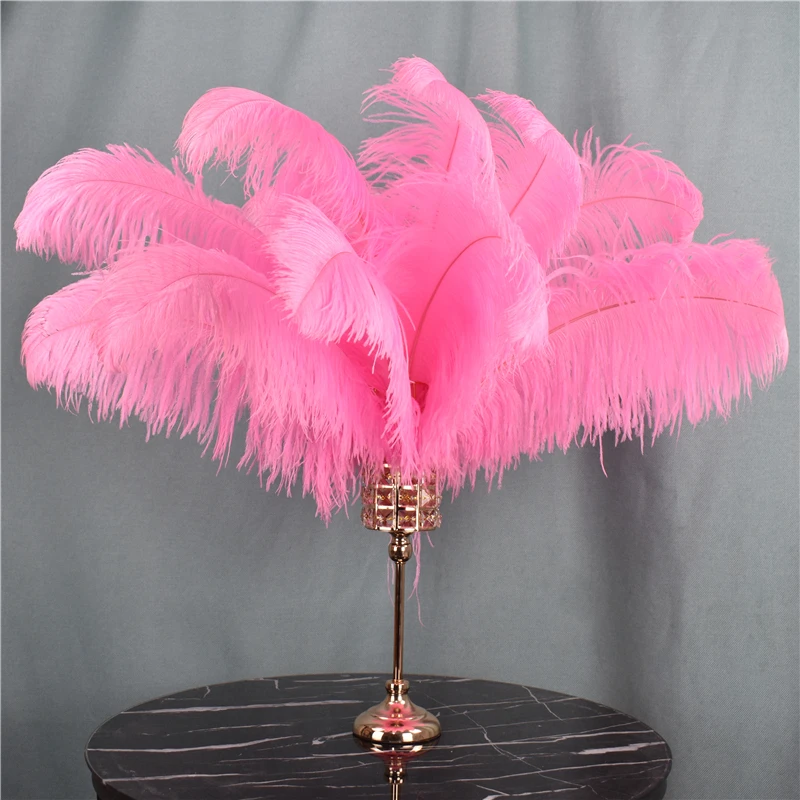 10pcs Large Light Pink Ostrich Feathers 16-18 inch Fluffy Feather for  Crafts Home Party Decoration Wedding Centerpieces Clothes Vase Decor