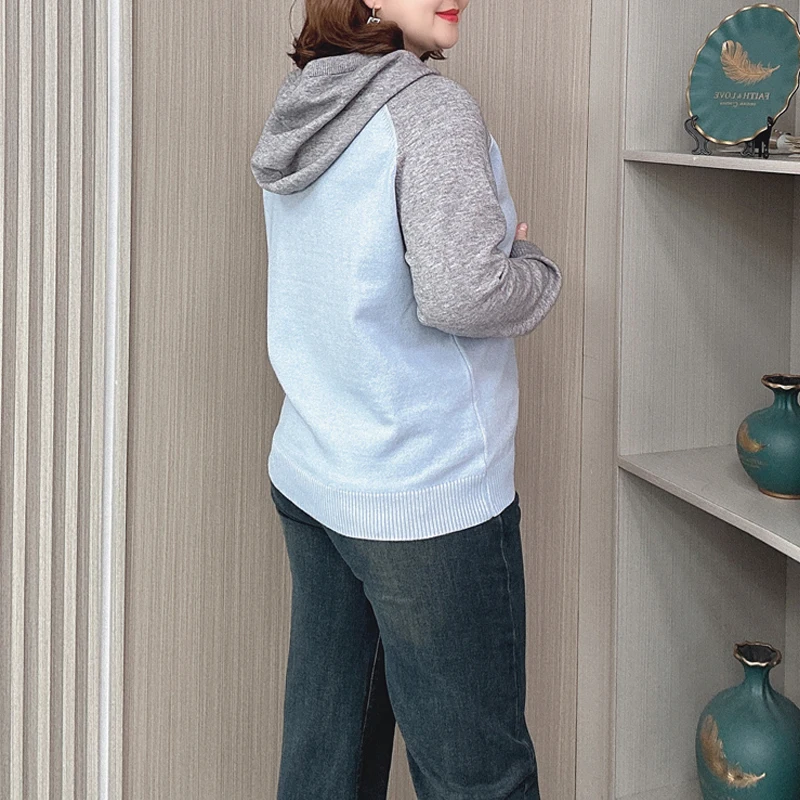 Women's Embroidered Dog Hooded Sweater, Loose Soft Knitted Pullovers, Plus Size Jumpers, Block Color Raglan Sleeves