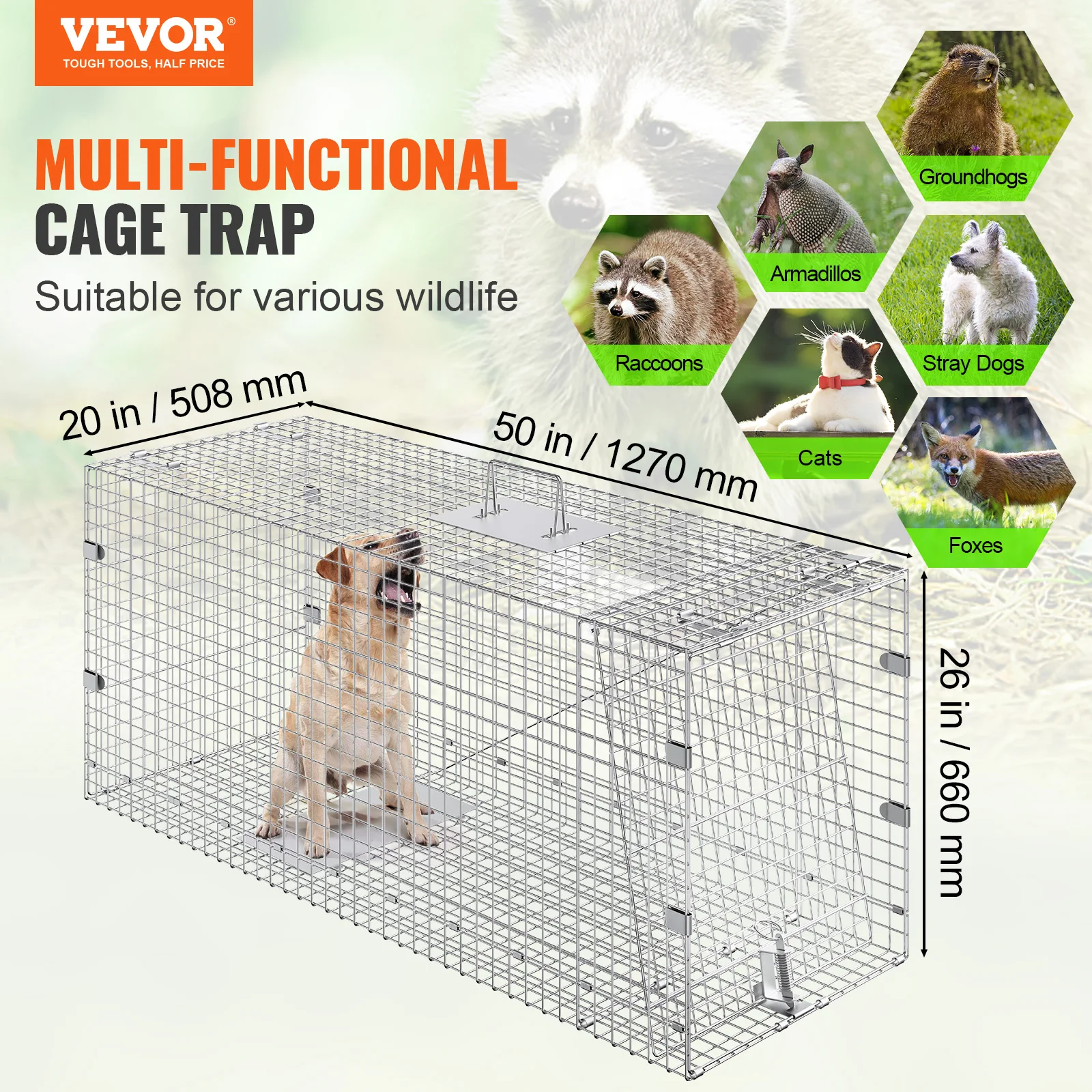Live Animal Cage Trap 24/31/42/50in Folding Humane Cat Trap Galvanized Iron Handle for Rabbits Squirrels Groundhogs
