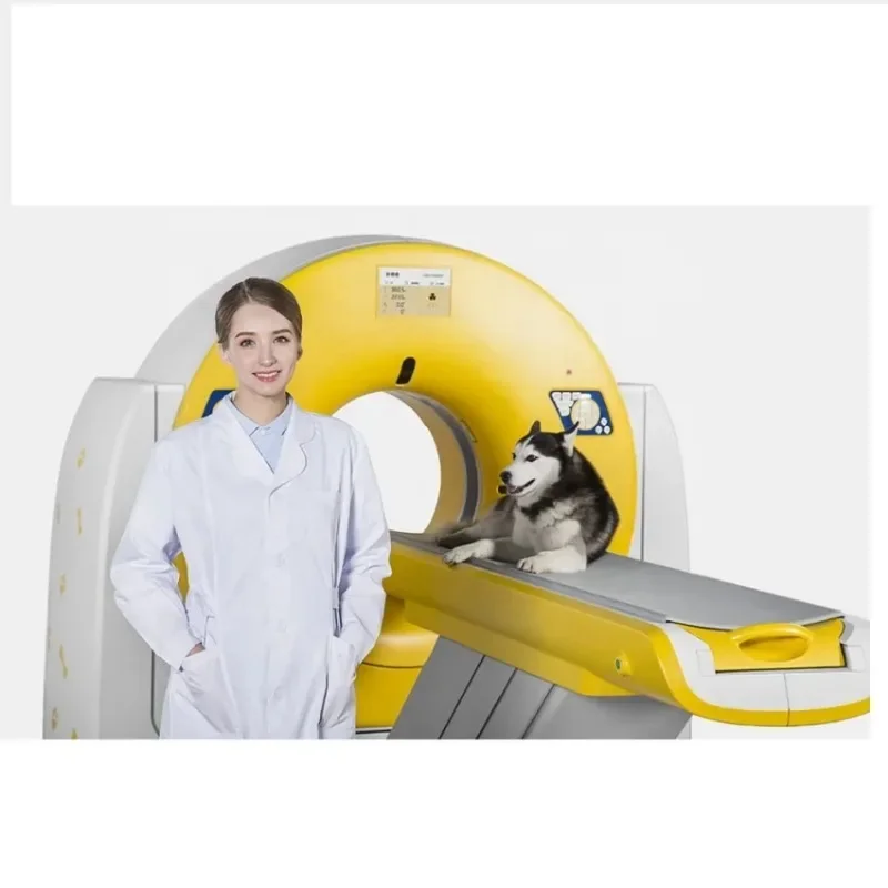 Рисунок 3 - Ветеринарное медицинское радиологическое