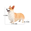 Standing Corgi