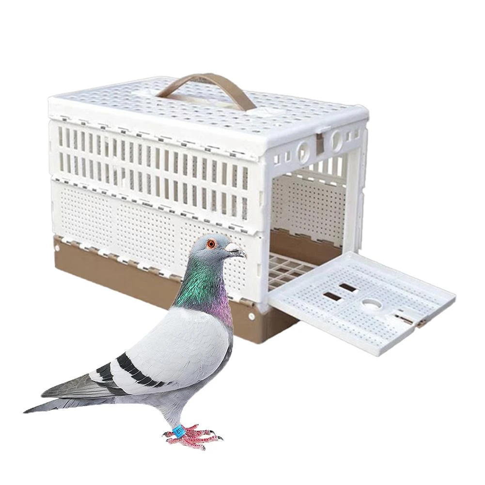 Folding Pigeons Cage Portable Convenient 3 door Homing Pigeons Training