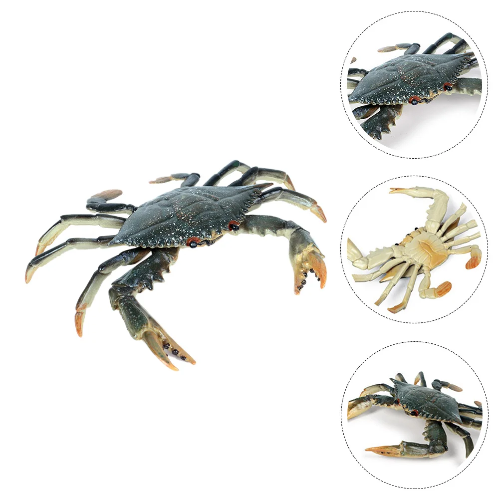 

Simulation Crab Kid Room Decor Hairy Chidrens Toys Plastic Educational for Kids