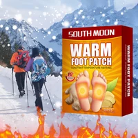 50-500Pcs Warm Foot Patch Air Activated Odorless Hot Insole Warmers Multifunctional Foot Warmer for Outdoor Fishing Hunting 2