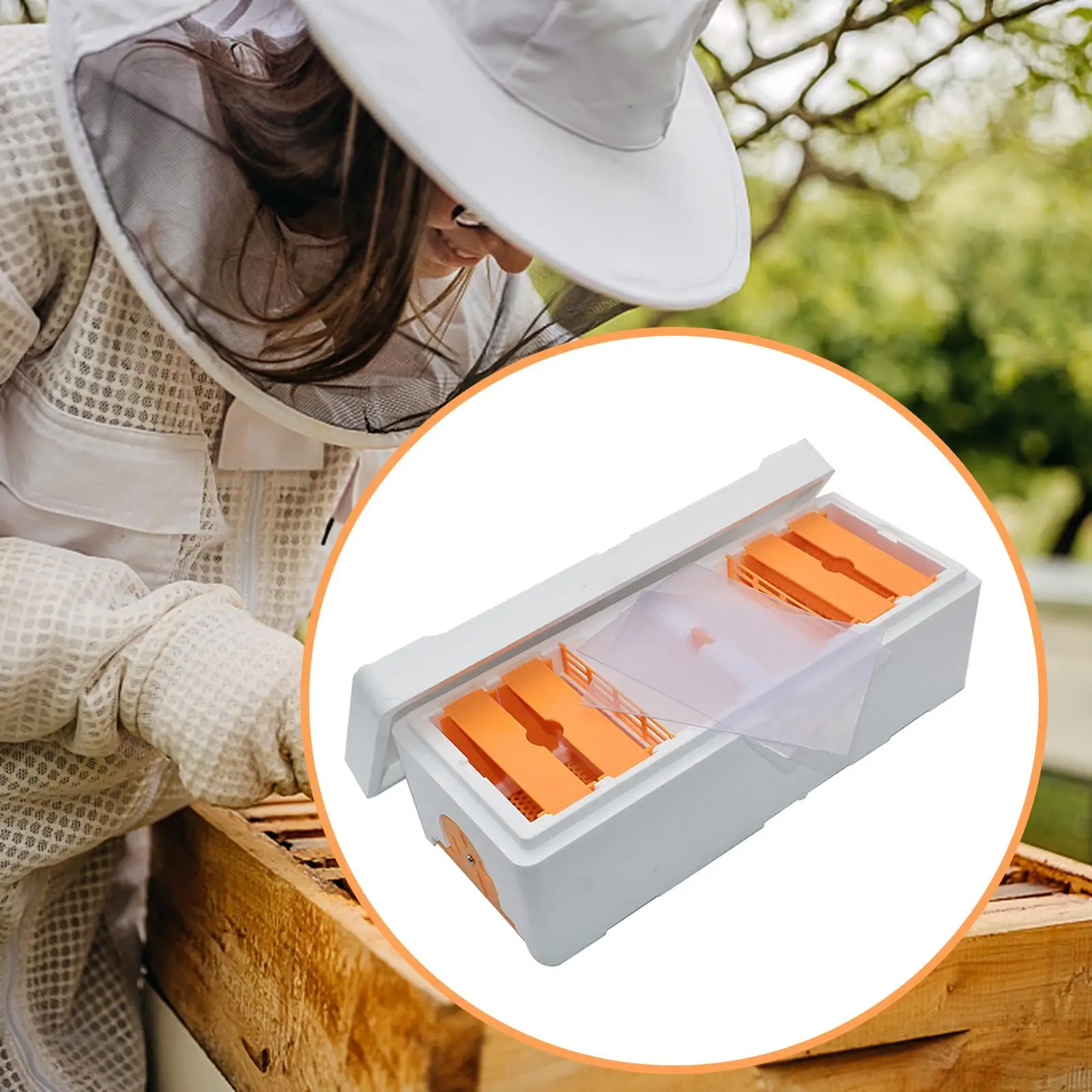 Beekeeping Tools Bee Breeding Box Bee Mating Box Multipurpose mini Hives for outdoor Beekeeper