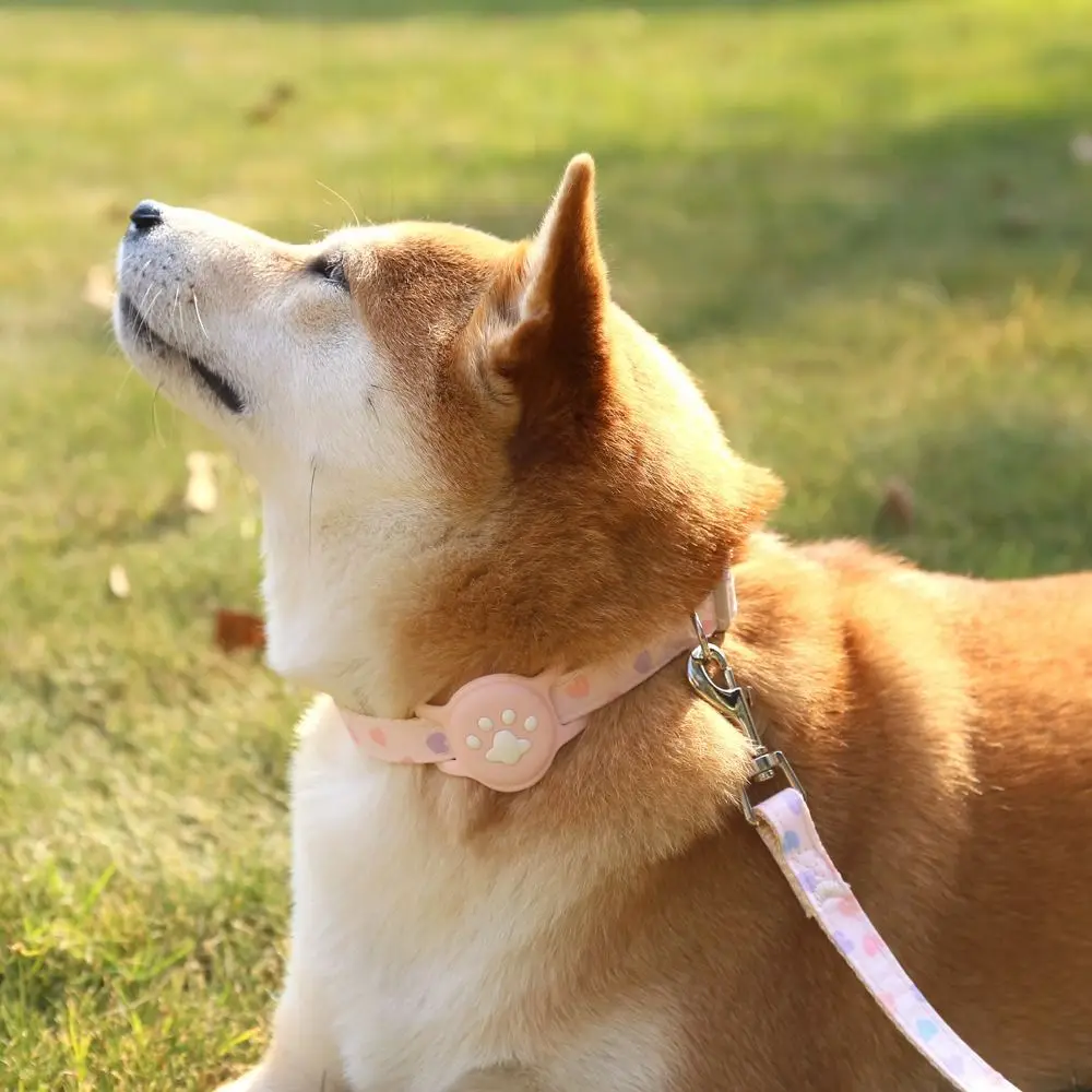 Nylon Pet Locator Collar Glow-in-The-Dark Adjustable Dog Cat Collar Anti-Lost Silicone Tracker Protective Cover for AirTag Pet