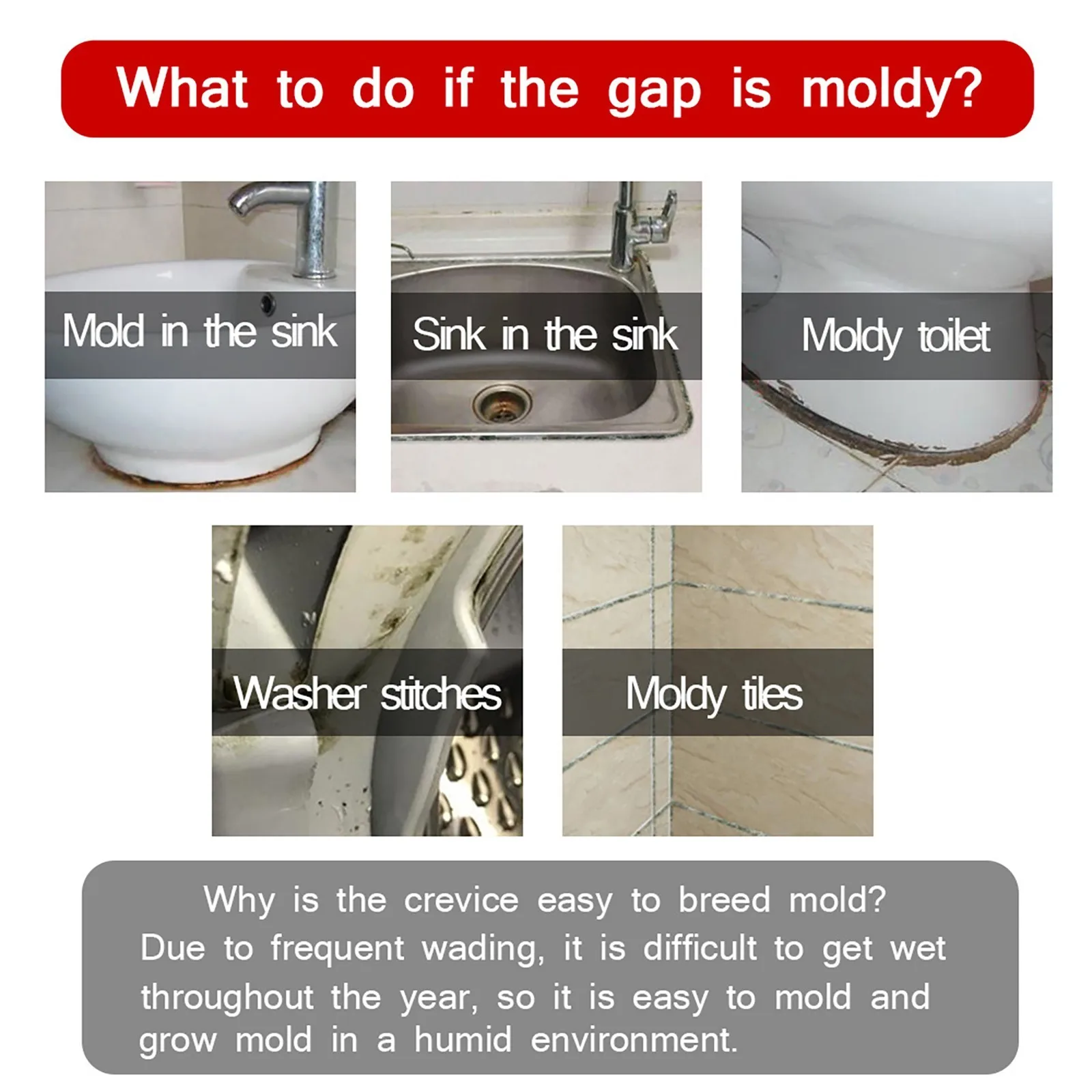 20G  û Ʈ     ξ  ڱ  Ʈ Ŭ Mouldproof  Ʈ