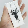 Real Beetle Blue Alien Scorpion Specimen Tarantula Giant Rainforest Insects Steam Beetle Collection Photography Home Decor 4