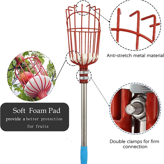 Gyümölcsválasztó Szerszám Betakarítás Nagy Tengerszint Feletti Gyümölcsgyűjtő Habpad-Kosárral És 1,6 M-Es 2,4 3,6 Méteres Pólusú Otthoni Kerti - Image 5