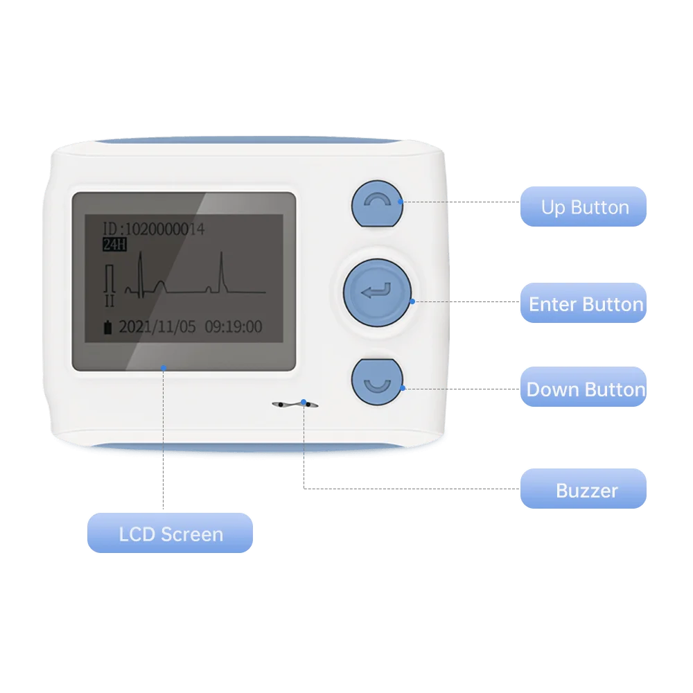 Wellue TH12 12 Lead Holter Recorder Ai Analysis Intelligently Identifies 25 Heart Abnormalities 24-hour Home Ecg Monitoring