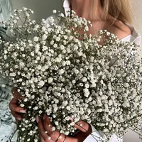 100g Natural Dried Gypsophila Flower Baby Breath Bouquets Floral Gypsophila Branches for Home Decor Wedding Garland Decoration 1