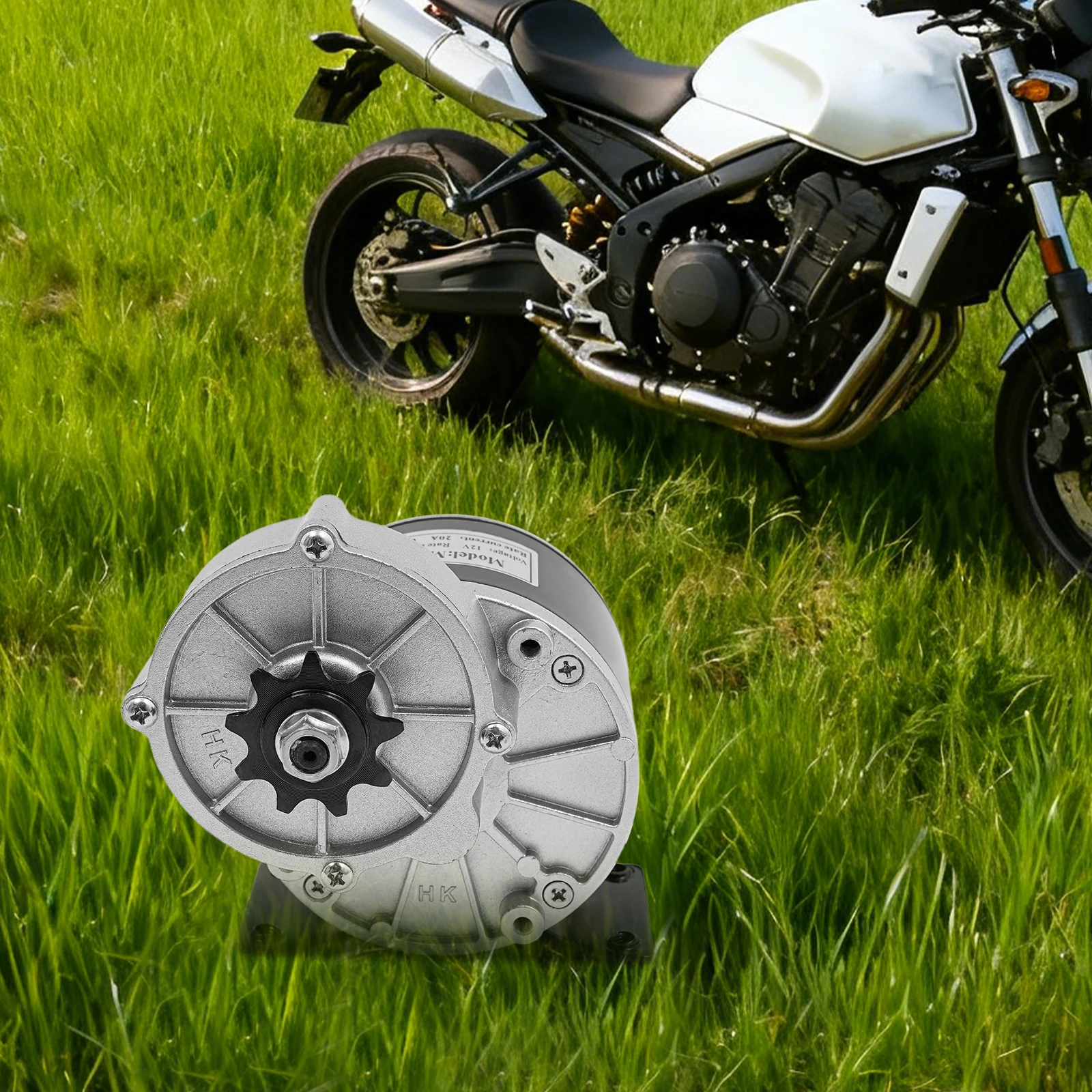 12V Getriebemotor 250W DC-Motor für E-Bike Elektrofahrrad Roller Elektrofahrzeug-Umbau – Detail 14