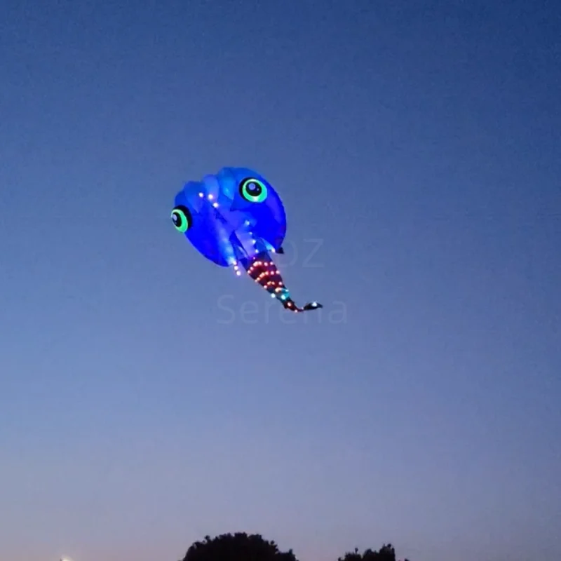 Show kite 13 square LED tadpole MLS brand pilot flat tail easy fly in day and night 30D Ripstop Nylon fabric inflatable LED KITE 3
