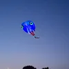 Show kite 13 square LED tadpole MLS brand pilot flat tail easy fly in day and night 30D Ripstop Nylon fabric inflatable LED KITE 3