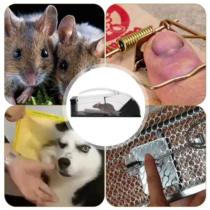 1pc Advanced Four Door Rodent Animal Cage Humane Live Mouse Trap Rat Trap,  Pest Control