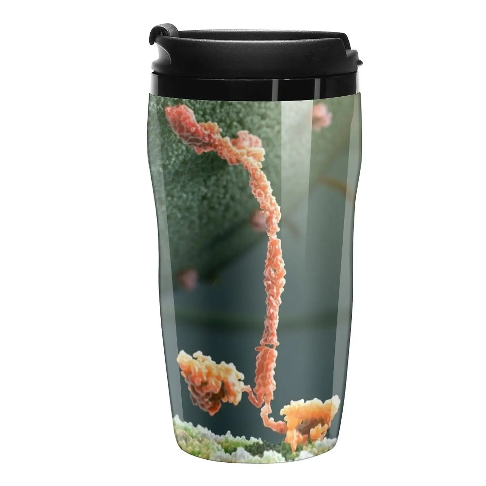 

New Kinesin Protein Walking by John Liebler Travel Coffee Mug Coffee Good Teaware Coffee Mugs Coffee Goods