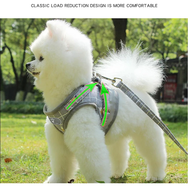Nylon Dog Harness Breathable Mesh Vest Adjustable Dog Harness and Leash Set for Small Dogs Cats Reflective Pet Collar for Puppy 3