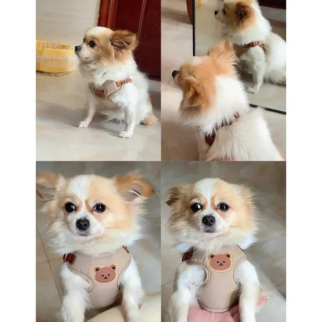 Dog Harness Leash Set Small Medium Dog Cat Vest Puppy Chest Strap French Bulldog Chihuahua Harness Breathable Vest Pet Supplies 5