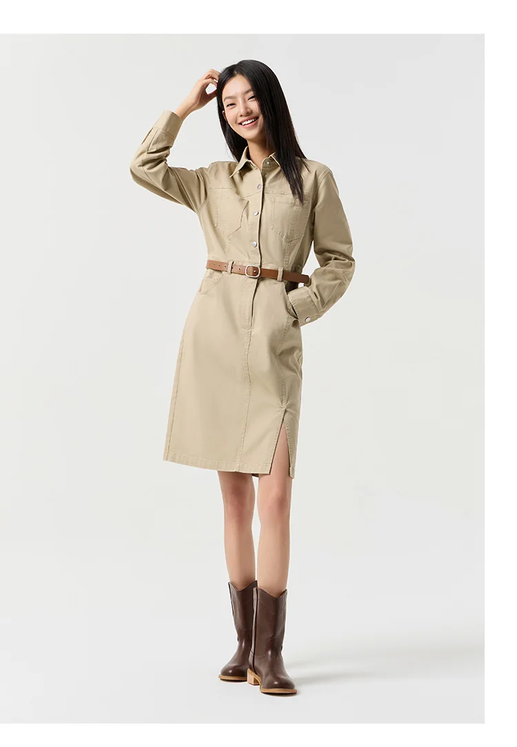 Dress Women Slit Lapel Vintage 2025 Spring New Waist-cinching Workwear Dress