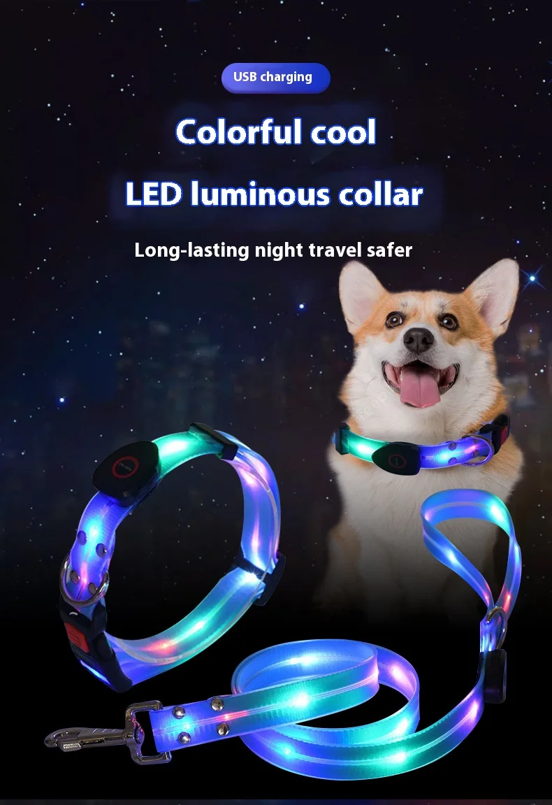 Colorful LED Luminous Collar Rechargeable Luminous Dog Rope Nylon - PeticaDeals
