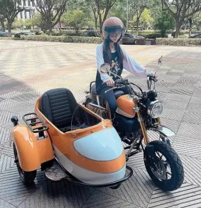 【未使用箱入り】 シクロランドナー レバー付き Little monkey-side three-wheeled mini cross-country cub