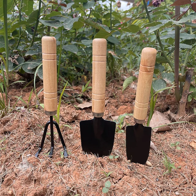 1Set Mini Kertészeti Szerszámok Lapát Gereblye Növények Palánták Zamatos Transzplanter Miniatűr Ültetési Készlet Fa Ásó - Image 3