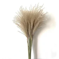 50/100pcs Real Dried Small Pampas Grass