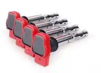 

06 E905115 interior ignition coil for A4 A5 A6 A7 A8 CAYENNE PANAMERA TOUAREG 2.0 inch rear/TFSI BAR AXQ CGNA CGNA