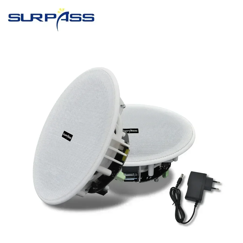 Bluetooth Speaker 6 Inch Ceiling 3D Stereo 10W For Bathroom Kitchen Outdoor Camper