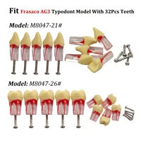 Frasaco AG3 Typodont Fit Dental Standard Root Canal Practice Endodontic Screw-in Teeth Model With Number Marked M8047-21# 26#