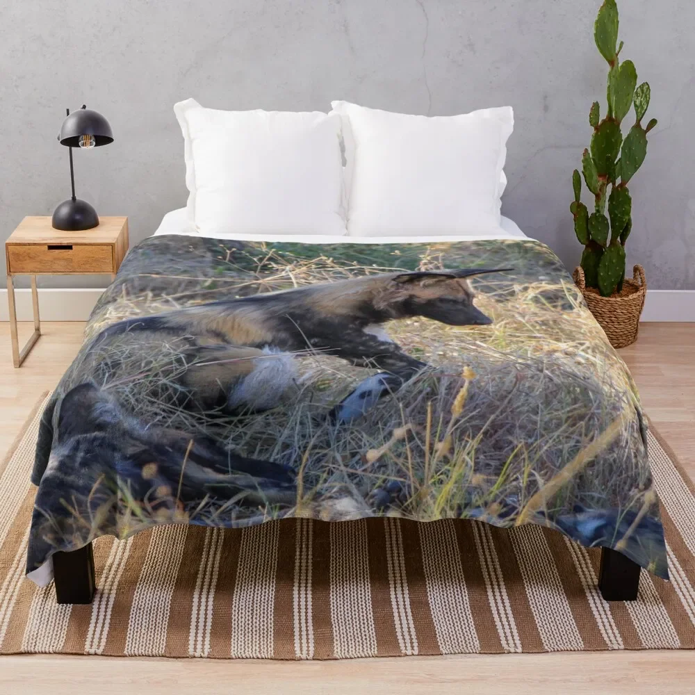 

Wild dog sitting with its pack Throw Blanket Luxury Designer Sofa Throw Bed Blankets