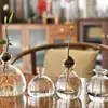 Transparent Glass Vase Avocado Seed Starters Vase Seed Growing Kit Avocado Vase For Growing Gift For Gardening Lovers Home Decor 1