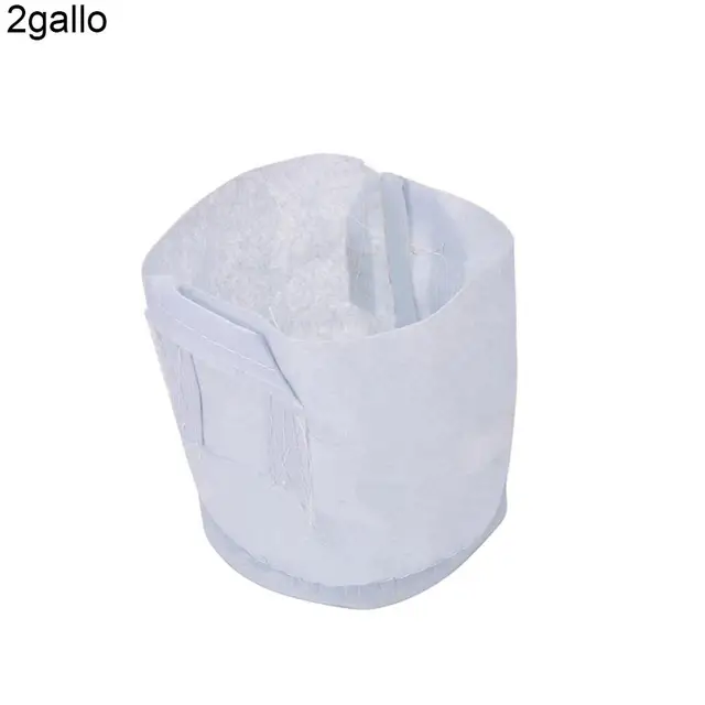 2 gallon