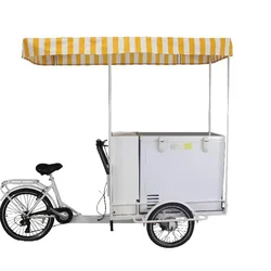 3 Wheel Electric Pedal Assist Vending Ice Cream Bike/ Freezer Tricycle