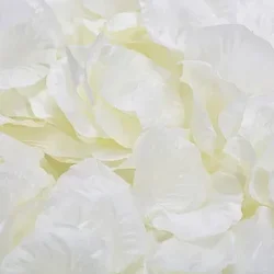 Vibrant Silk Rose Petals for Romantic Decoration and Celebrations (Milky White)