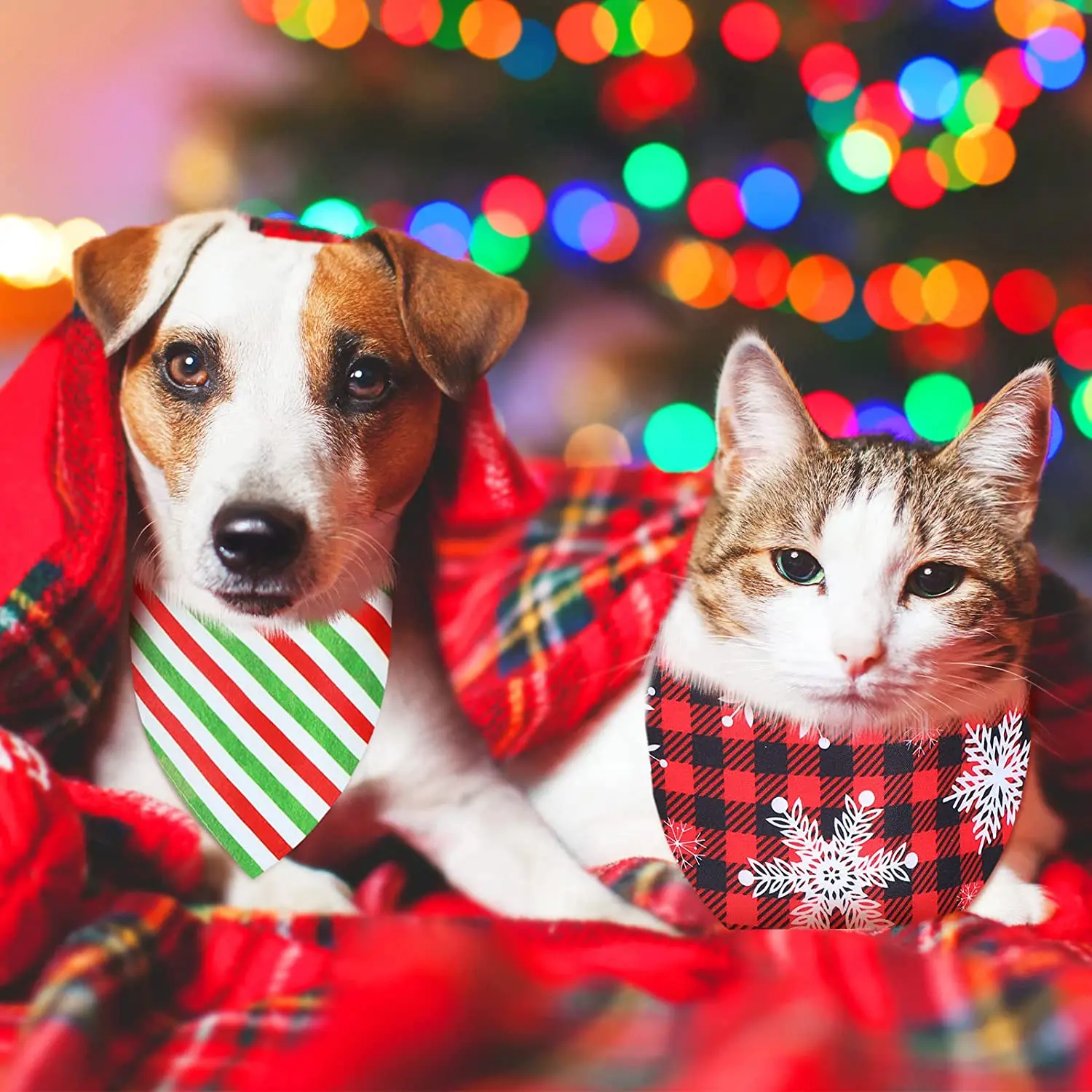 30PCS Holiday Dog Bandanas – Christmas, Thanksgiving & Halloween Scarves 5