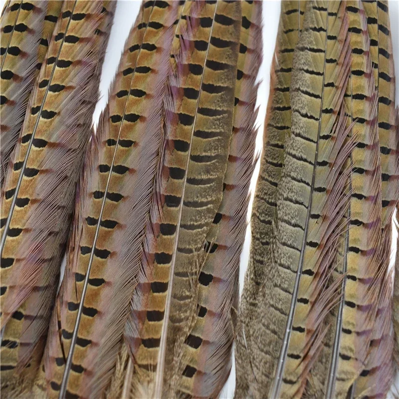 공예품용 천연 링넥 꿩 깃털, 긴 대형 장식 깃털, 꼬리 카니발 액세서리, 10-75cm