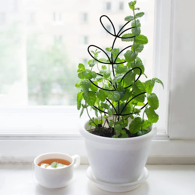 Levél Alakú Növényi Rácsos Fémhuzalt Tét Hegymászó Tartó Állvány Cserepes Növények Keret Beltéri Otthoni Kerti Dekorációhoz - Image 5