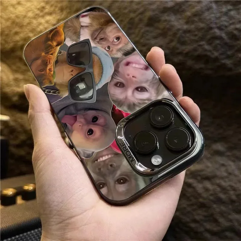 Vibrant Creative Monkey Pattern Shockproof Phone Case