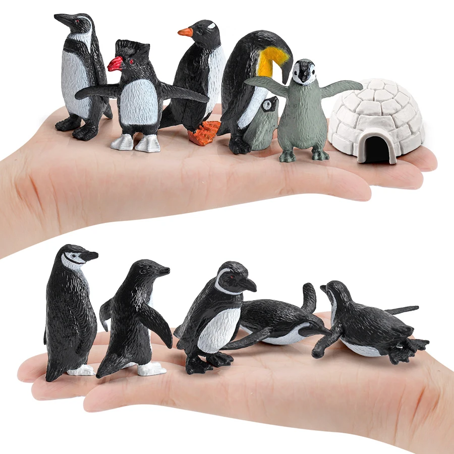 Realistic Polar Animals Penguin Growth Cycle Model Figurines Toy Arctic Penguins Animal Igloo Figures PlaySet Kids