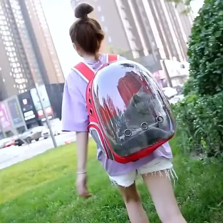 Pet cat bag Transparent sunroof out bag Portable out space capsule Cat supplies Breathable large-capacity backpack