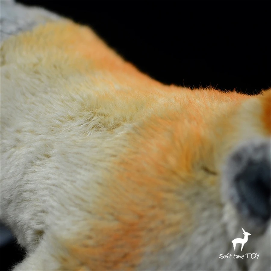 Proboscis Monkey High Fidelity Anime Cute Plushie Nose Ape Plush Toys Lifelike Animals Simulation Stuffed Doll Kawai Toy Gifts 6